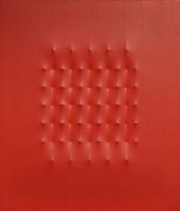 kunst-minimalisme-rood schilderij van enrico castellani-6.jpg